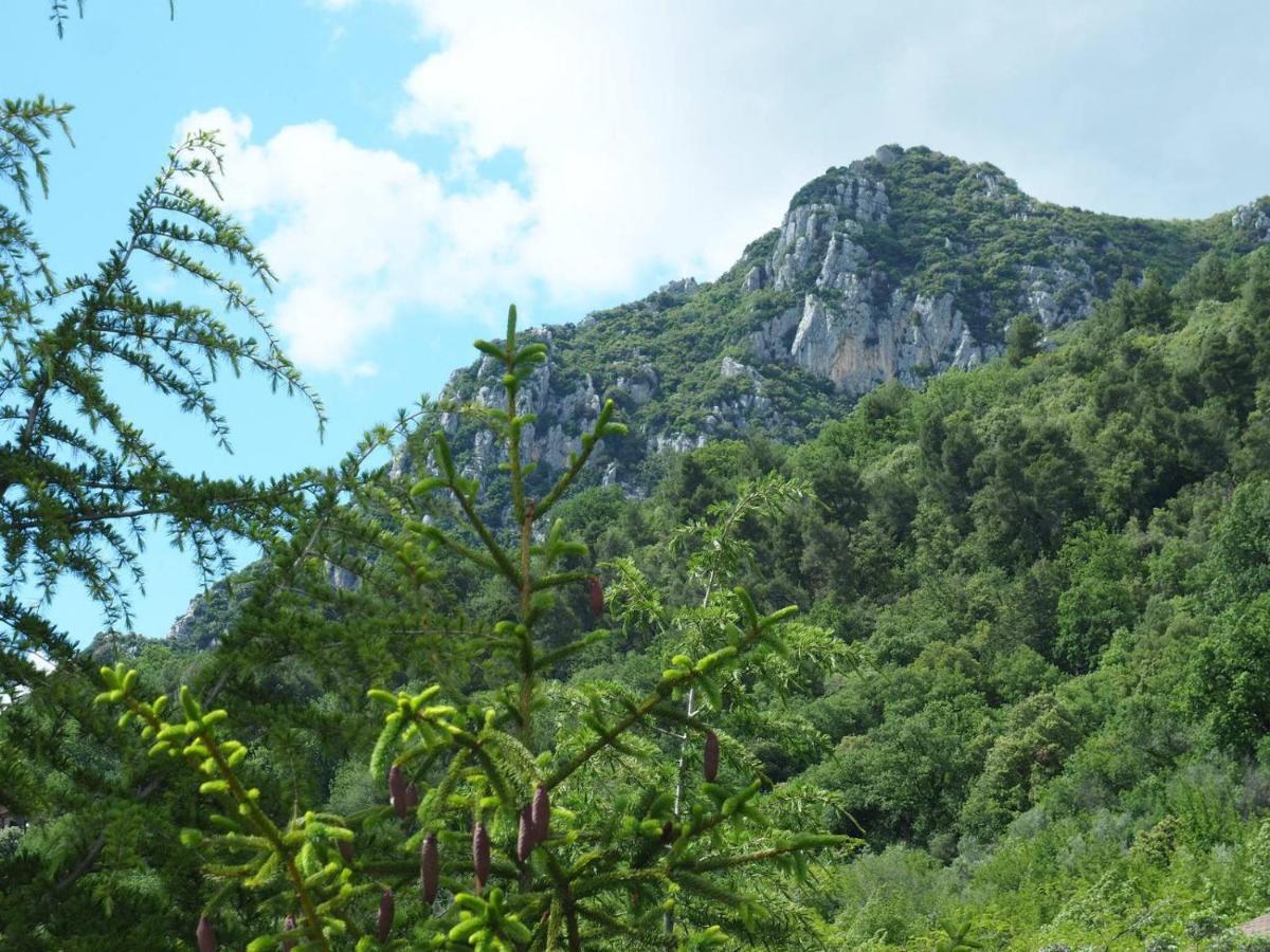 La Casa Fra Gli Ulivi Lägenhet Terni Exteriör bild